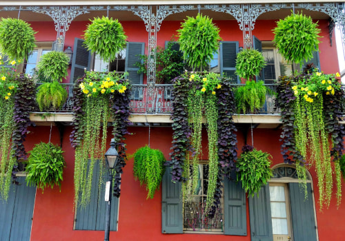 Exploring the Historic French Quarter of New Orleans